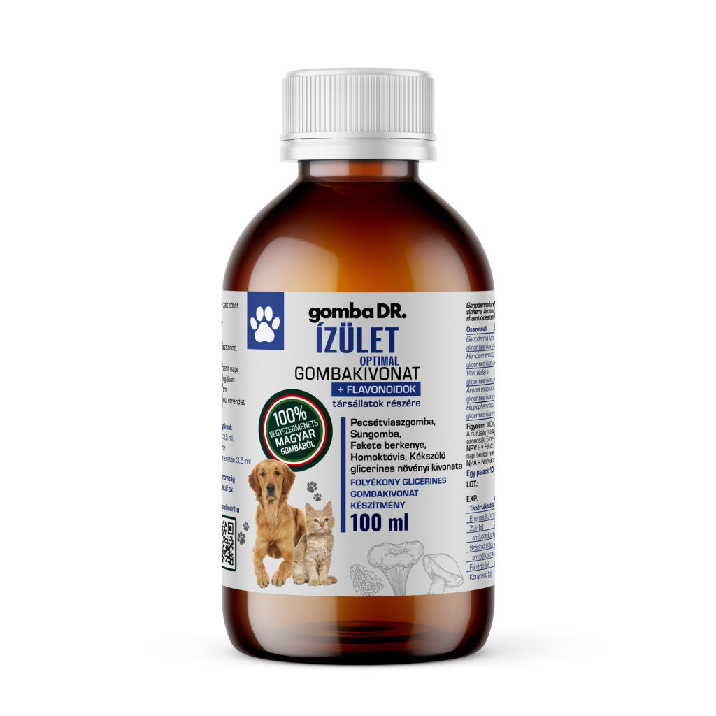 gomba DR. ÍZÜLET OPTIMAL gombakivonat társállatok részére