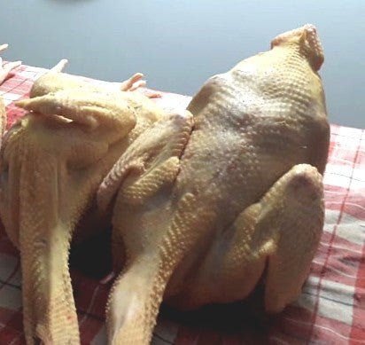 Tisztított csirke egészben  -1,5-1,7 kg