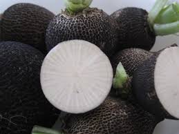 Fekete retek -500g