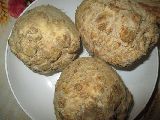 Bio Zellergumó