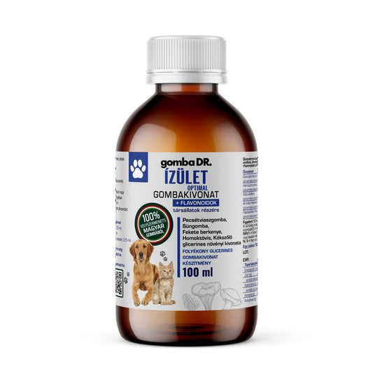 gomba DR. ÍZÜLET OPTIMAL  gombakivonat társállatok részére