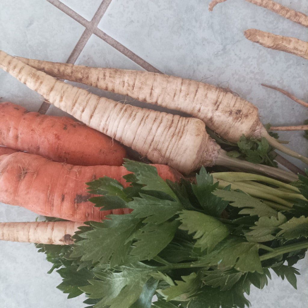 Vegyeszöldség